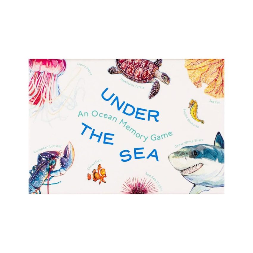 Spel Under The Sea, A Memory Game